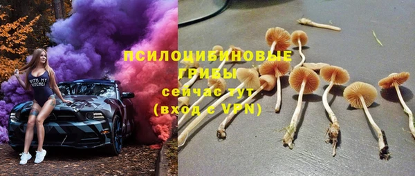 стаф Алексеевка