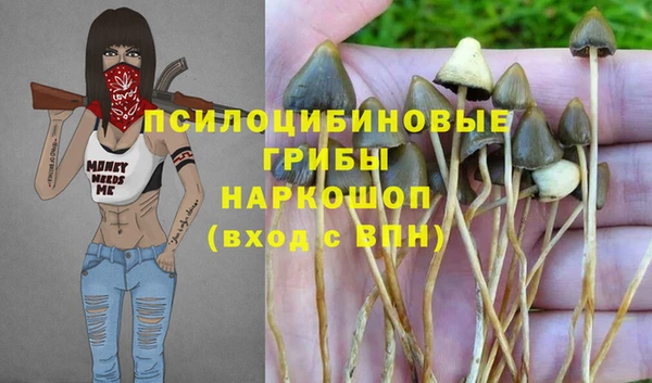 стаф Алексеевка