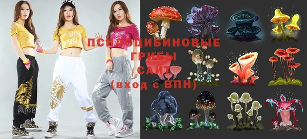 дживик Алексин