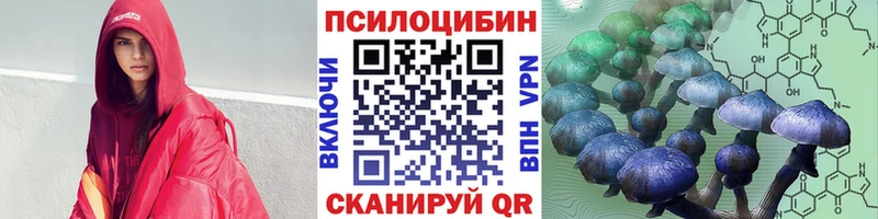 Псилоцибиновые грибы мицелий  купить   Конаково 